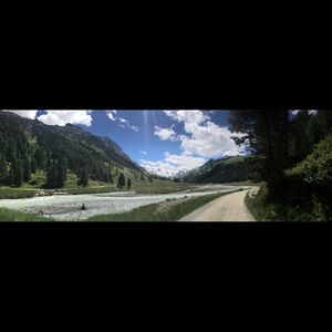 Meet your Posher, Bella